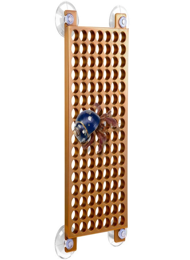 Enhon Hermit Crab Climbing Toys with 4 Suction Cups, Hermit Crab Accessories, Round Hole Decor Ladder Tank Decoration, Climbing Nets and Accessories for Tank and Aquarium Exploration Habitat - Image 1